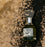 Yuzu Sake