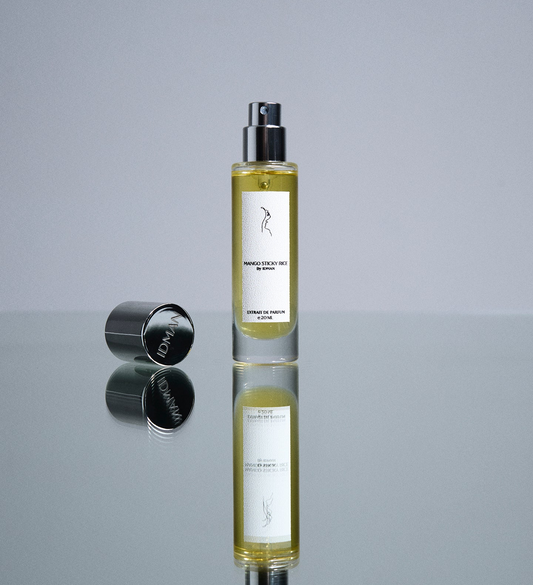 Mango Sticky Rice | Mini